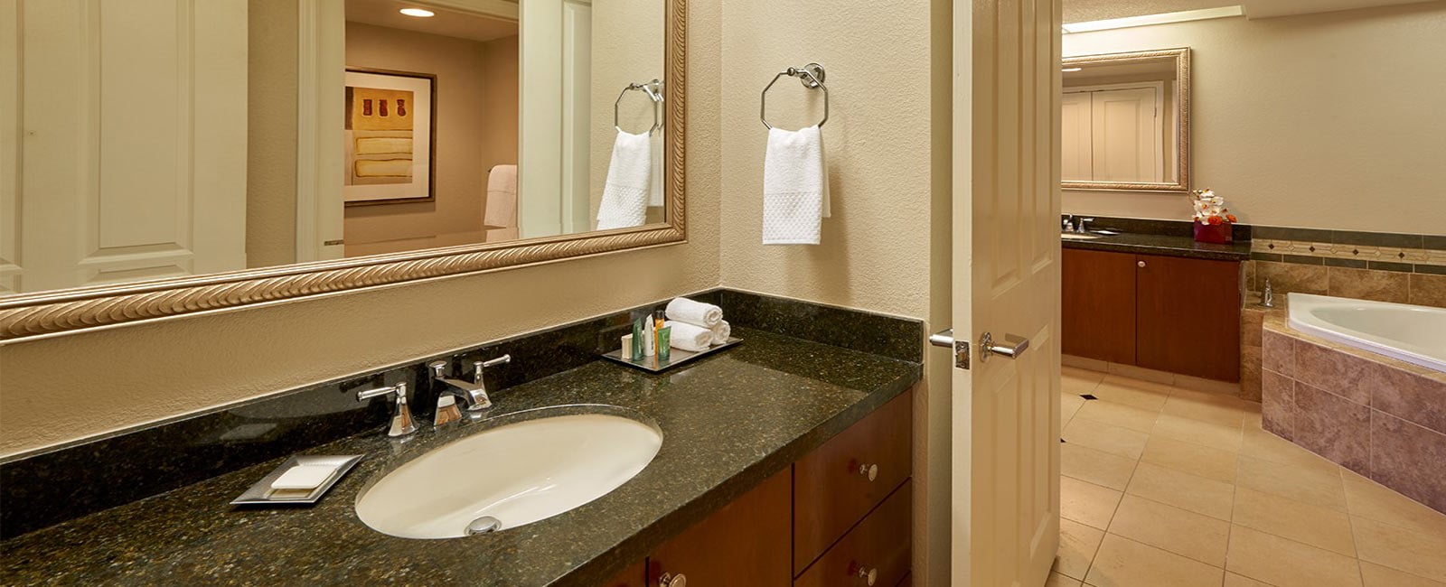 Bathroom at the Flamingo Resort in Las Vegas, Nevada